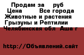 Продам за 50 руб. › Цена ­ 50 - Все города Животные и растения » Грызуны и Рептилии   . Челябинская обл.,Аша г.